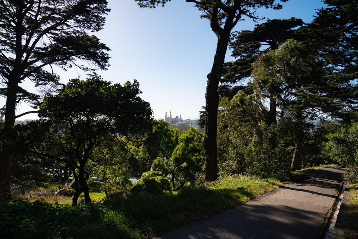 Buena Vista Park thumbnail