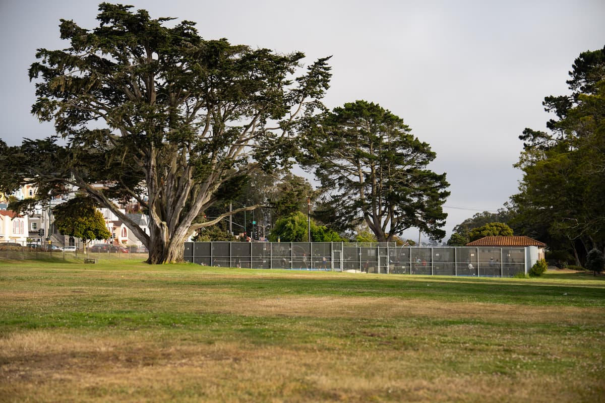 Carl Larsen Park thumbnail